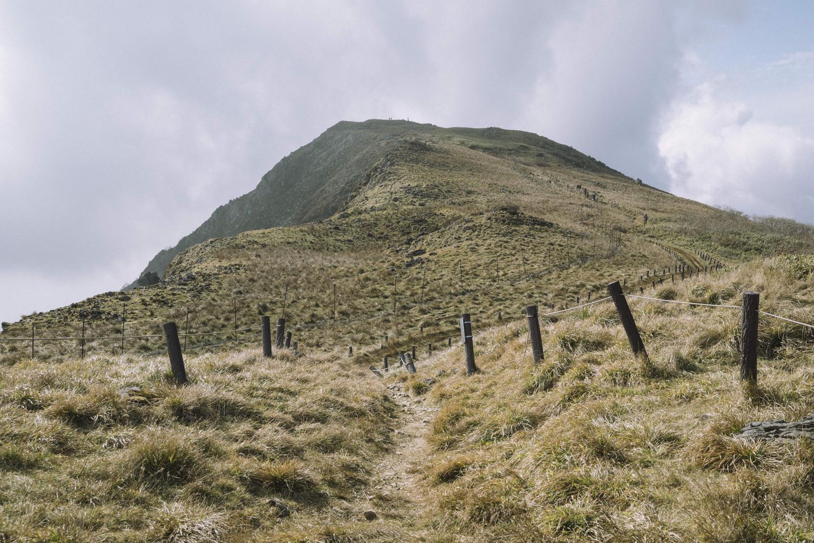 正規分布の山